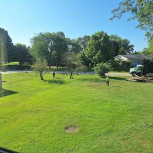 Buckley’s Best Tree Care