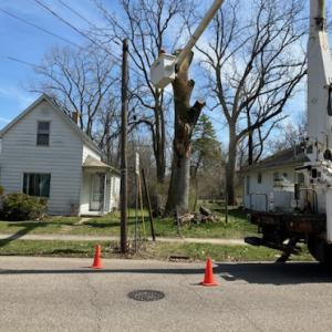 Hill’s Tree Service