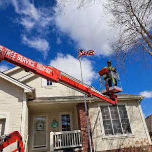 Marv’s Tree Service