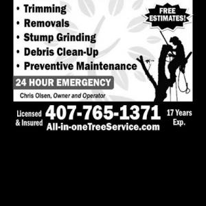 All In One Tree Service