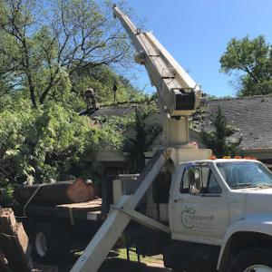 Appleseed Tree Service