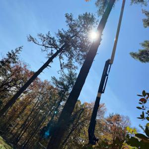 A&J Contracting & Tree service