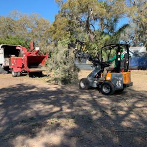 Sarasota Tree Service, LLC - ISA Certified Arborist