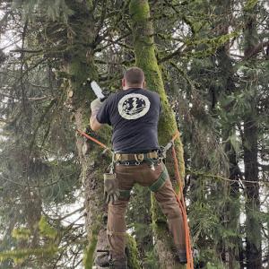 Advanced Tree Care