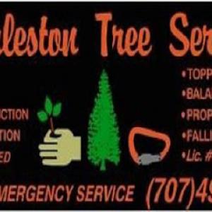 Charleston Tree Services