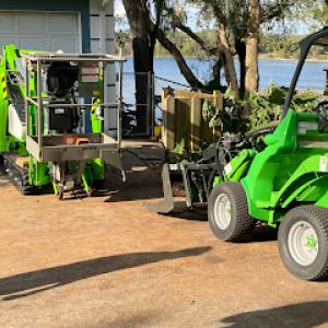 Certified Tree Specialist