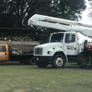 Allegiance Tree Service