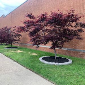 Midwestern Outdoor Services