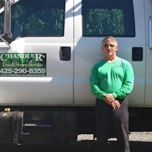 Chandler's Tree & Stump Service