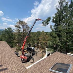 Splintered Forest Tree Services