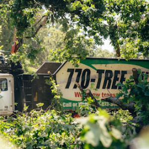 770-Tree-Guy