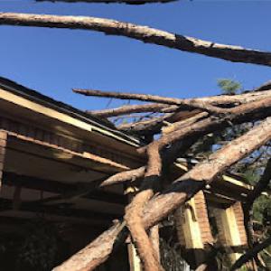 Armstrong Tree Service