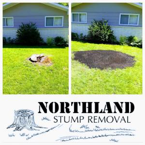 Northland Tree, Stump & Top Soil