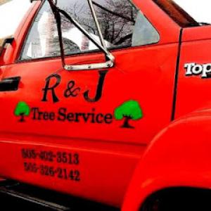 R & J tree service