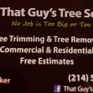 That guys tree service