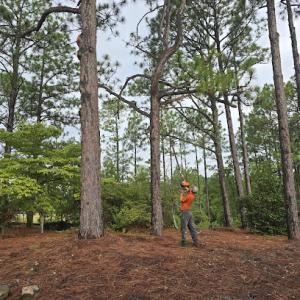 Smith's Lawn & Tree Company