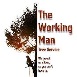 The Working Man Tree Service
