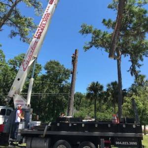 Eagerton Tree Service
