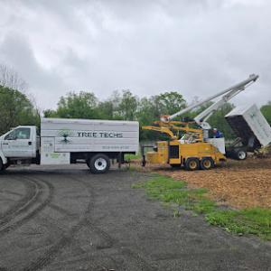 Tree Techs Care & Removal
