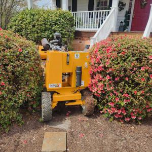 Sharptop Tree Service