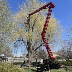 Oasis Tree & Landscaping Services