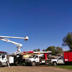 Foothills Tree Experts