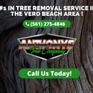 Anthony's Tree Company
