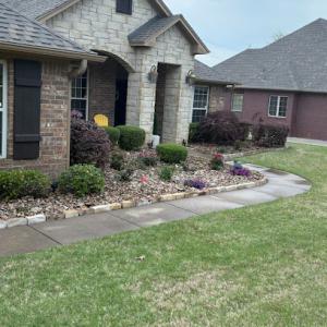 Vasquez Tree & Landscaping Service