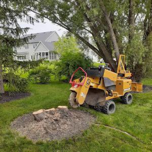 Total Stump Grinding