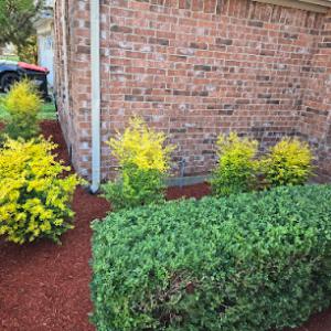 Arnold Tree Services