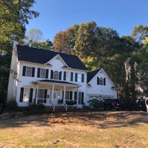 Mr. Beaver Tree Service