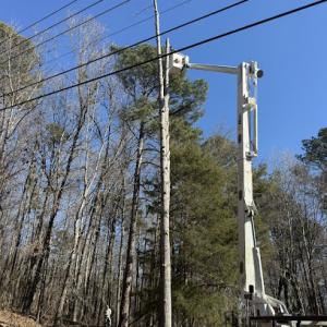 AAAA+ Phillips Tree Service, Gadsden, Alabama