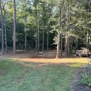 Molinas Tree Service