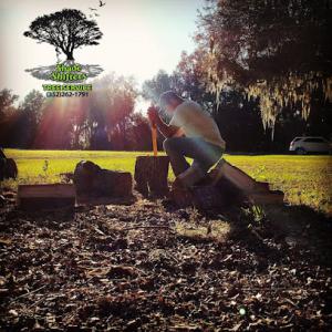 Shade Shifters Tree Service