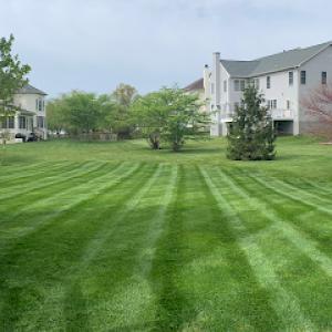 Brothers Lawn Service