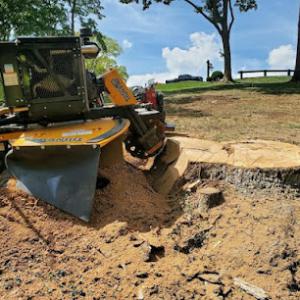 Jenkins Stump Removal