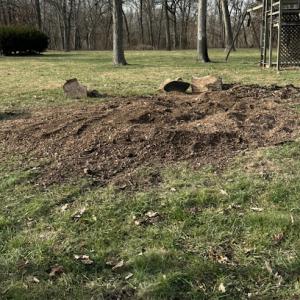 Stumpmaster Stump Grinding