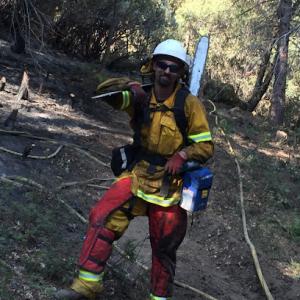 Skylake Tree Services