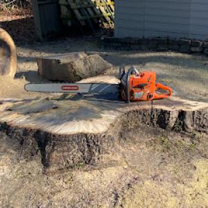 Baker Boy's Clearing