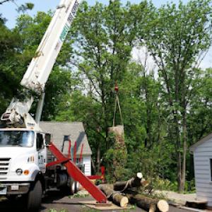 Powell Property Maintenance & Tree Service
