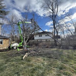 Moore's Landscaping & Tree Service