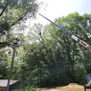Hecksel Tree Service