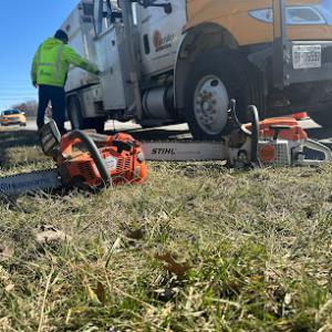 Pineridge Tree Service