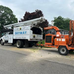 Skyway Tree Service