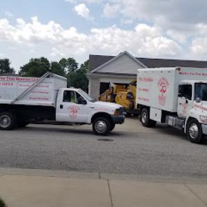 Mark's Professional Tree Service