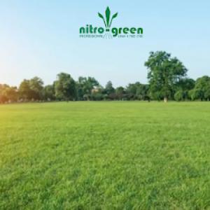 Nitro Green Professional Lawn & Tree Care