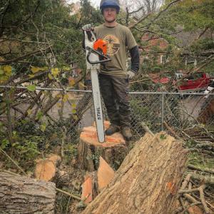 Great River Tree Care