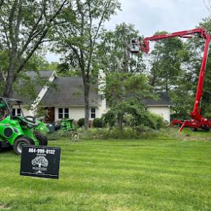 Signature Tree Service