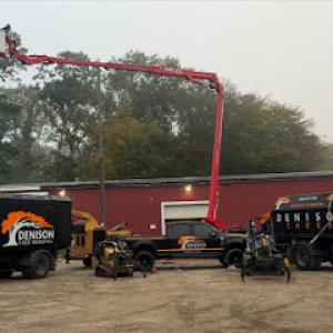 Denison Tree Removal