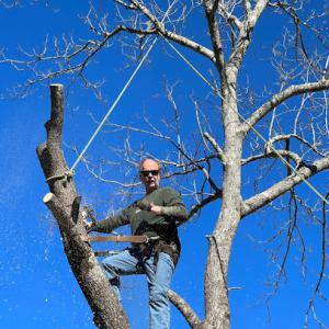 Tree Works Plus